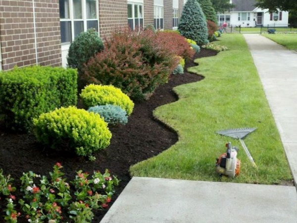 mulch and tree trimming services near me