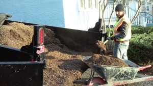 mulch-installation-sod-oak-lawn