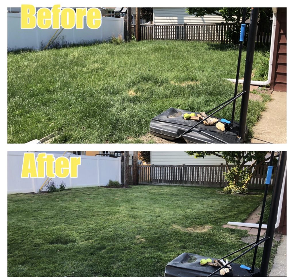 This grass looked awful until we cleaned it up
