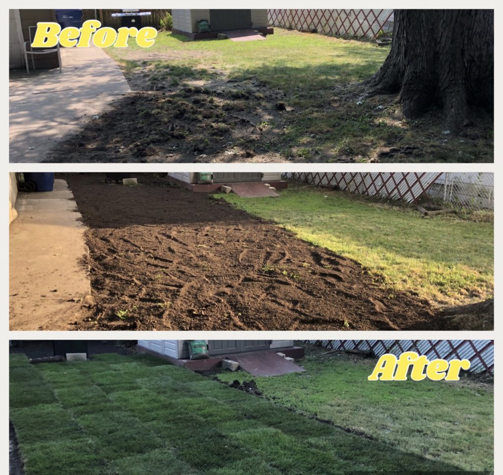 before and after sod pictures