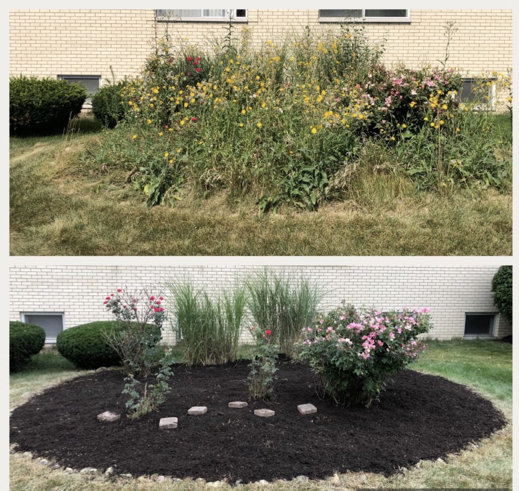 transformation of a weeded flower bed